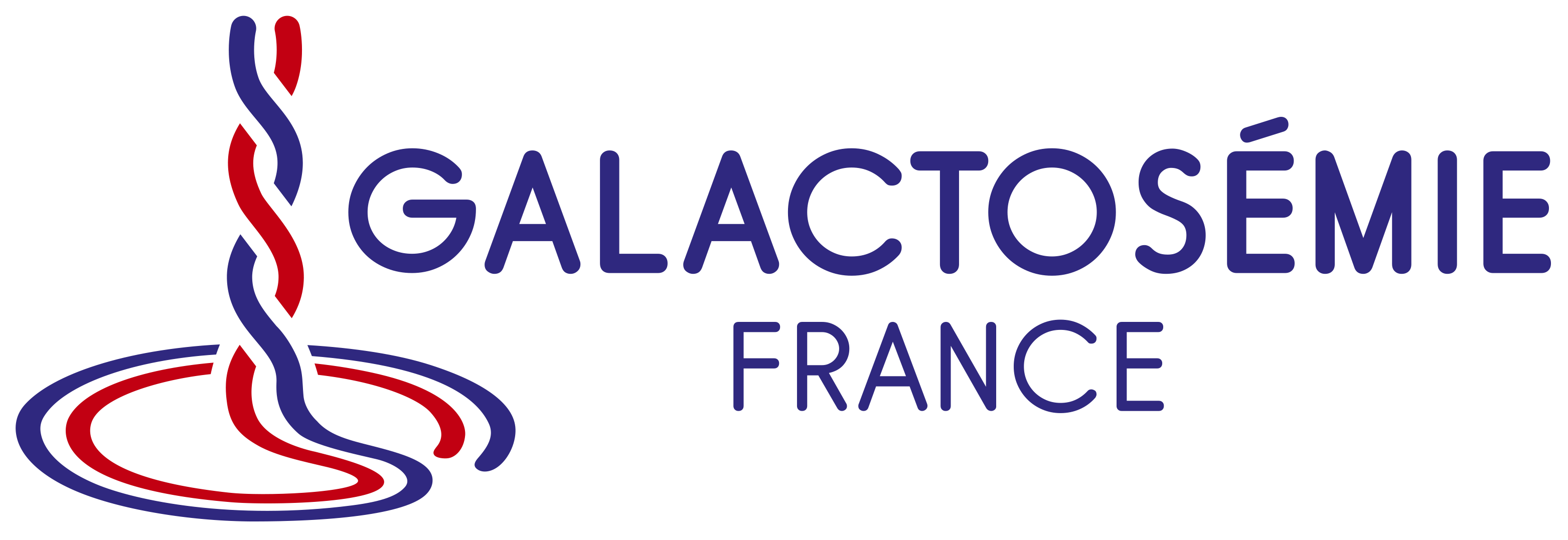 Logo GalacFrance OK sans fond blanc